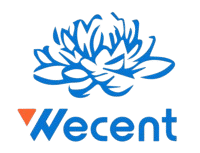 Wecent Group